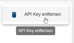 Der Screenshot zeigt den Eintrag "API Key entfernen".