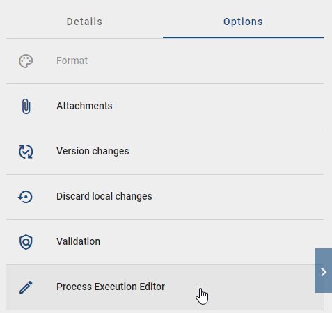 The screenshot shows the option "Process Execution Editor".