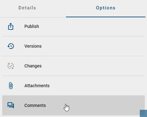 The screenshot shows the option "comments" in the options menu.