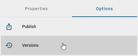 This screenshot shows the "Versions" option in the side bar.