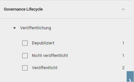 Der Screenshot zeigt das Attribut "Governance Lifecycle" im Filterbereich.