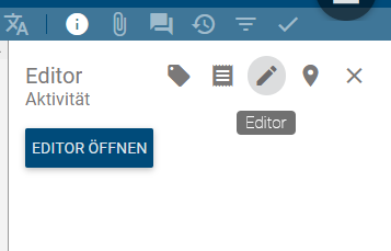 Der Screenshot zeigt die Detailsansicht einer Aktivität mit Formular Editor.