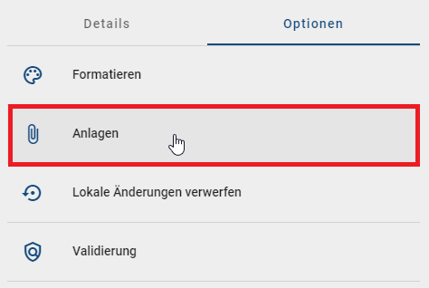 Der Screenshot zeigt die Option "Anlagen" in den Optionen.