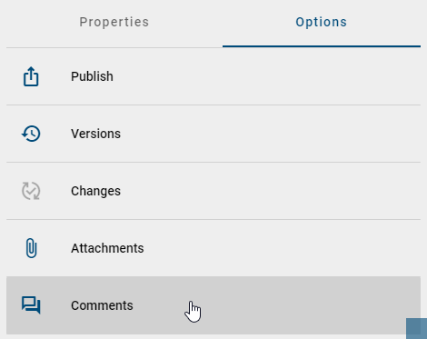 The screenshot shows the option "comments" in the options menu.