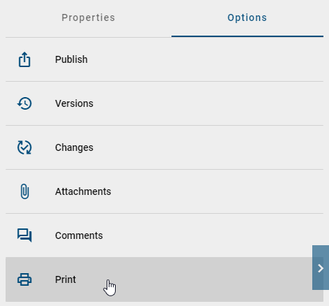 The screenshot shows the option "print" in the options menu.