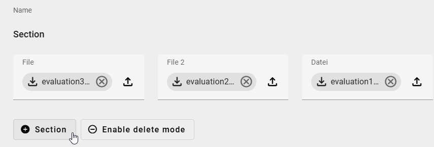 The screenshot shows the option to add another section in an executed ProcessApp.
