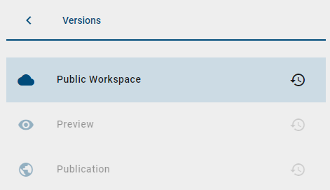 The version tab with bolt "Public Workspace" and greyed out stages "Preview" and "Publication" is displayed here.