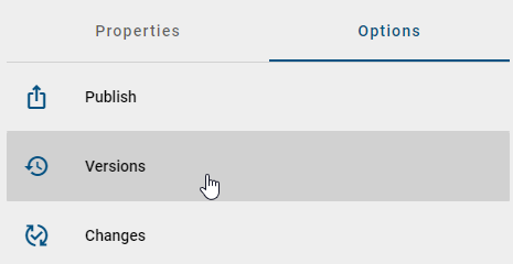 This screenshots illustrates the entry "Versions" in the options of a diagram.