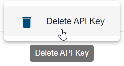 The screenshot shows the entry "Delete API Key".